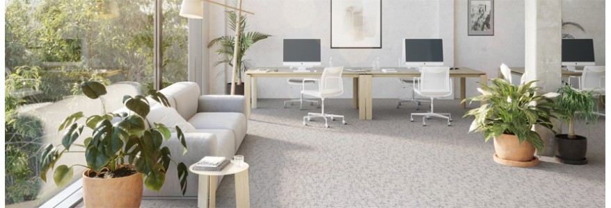 DSGN Absolute | Modulyss 33